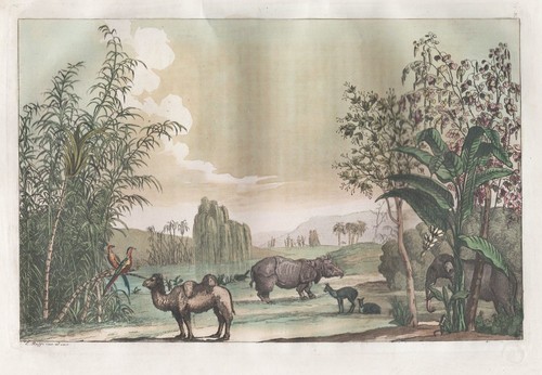 China botanik elefant - china,